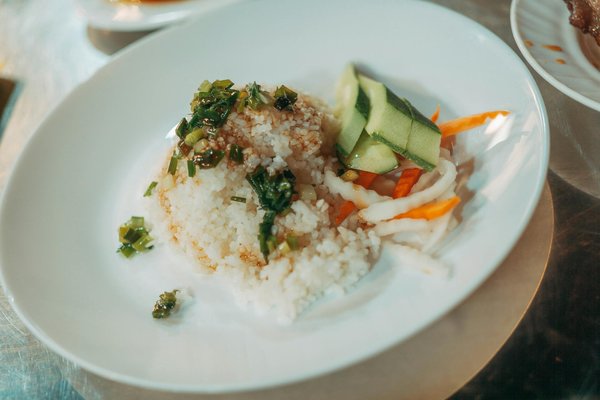 How Has Pet Ownership in the UK Evolved Over the Decades?